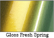 Avery Dennison Color Flow Gloss Fresh Spring
